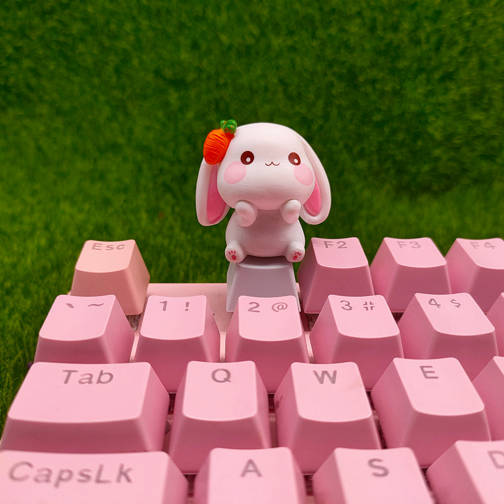 Key Hat Of Transparent Mechanical Keyboard